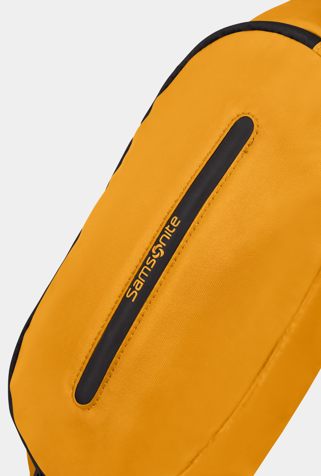 Samsonite Riñonera Ecodiver