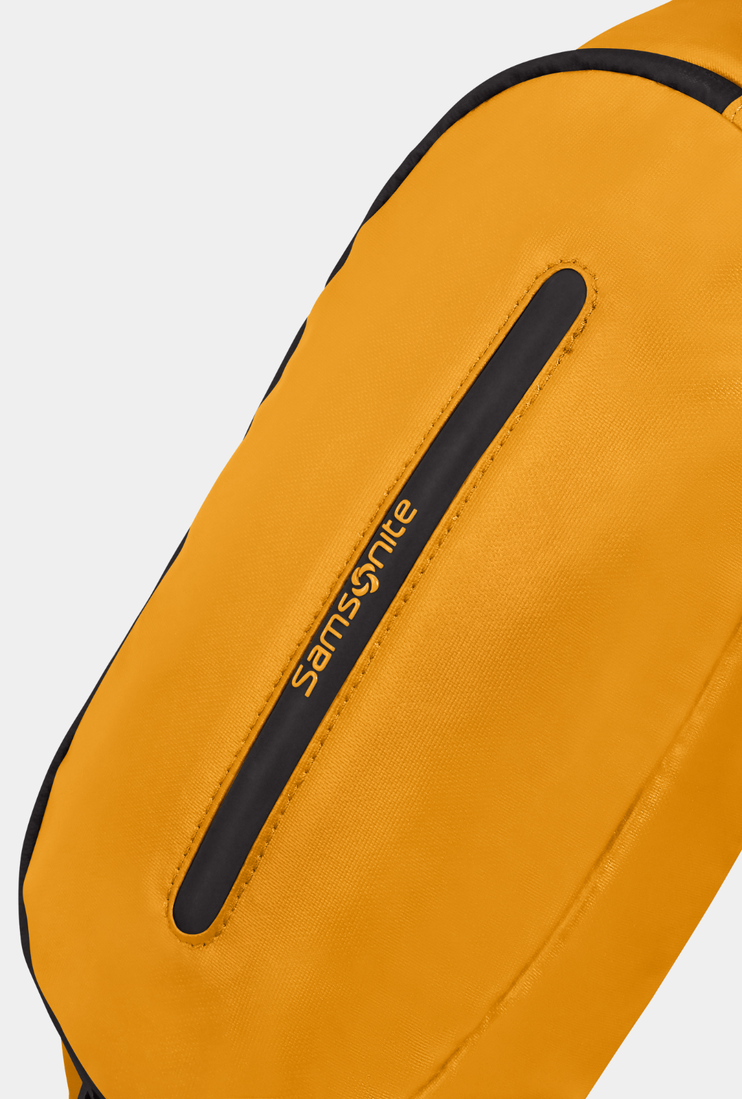 Samsonite Riñonera Ecodiver